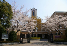 満開の桜が咲く校門付近から見た校舎の画像